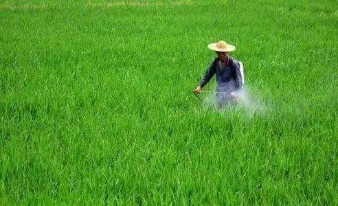 农药喷洒，注意事项多