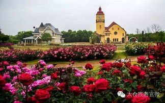 地址、电话、门票，你们想知道吗？