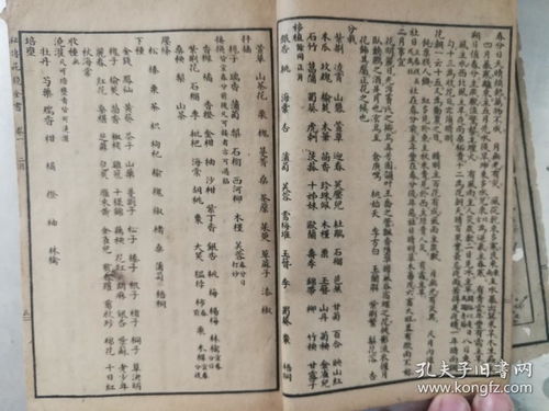 历史演变， 百花齐放