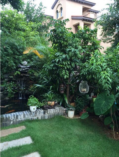 选择植物， 要堪这三个指标