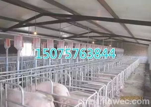 猪场购设备，选优质、环保、高效