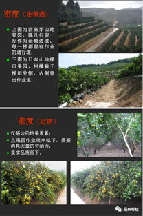 精细化管理是农业养殖成功的关键