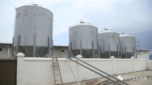小型养猪场可设计为生态循环农业养殖基地