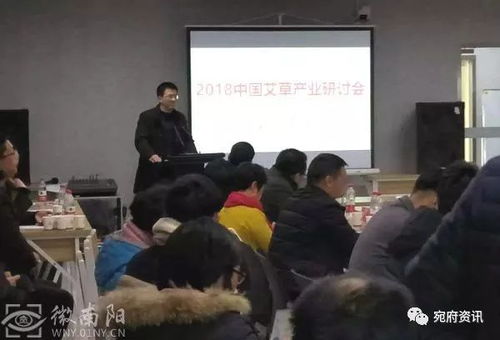 南阳：艾草产业的摇篮