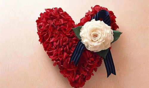 玫瑰花九重含义，象征爱情、美丽、信仰、勇气、尊敬、母爱、和平、幸运与纯洁