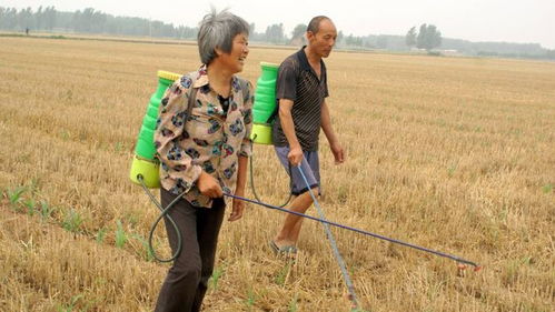 农村农机具与打农药车