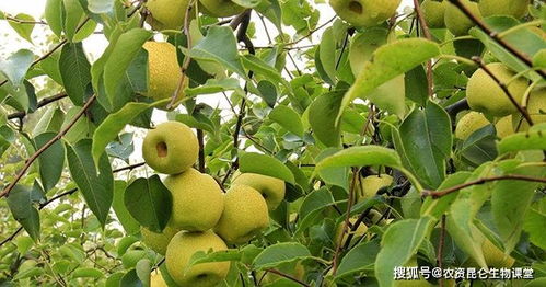 特殊时期， 管理有术