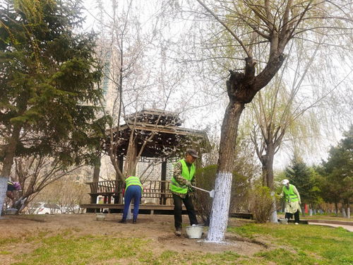 春天来啦，树木养护也跟着热闹起来！