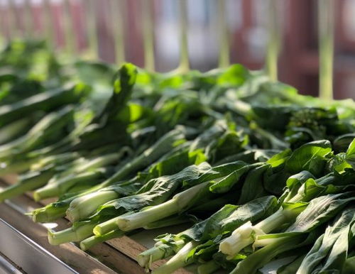 洗啊洗，洗出清新来