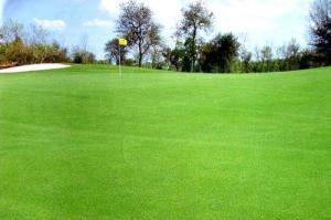 那么怎么养护这些耐寒草种呢？