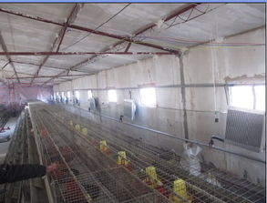 农业养殖通风神器，安装简便