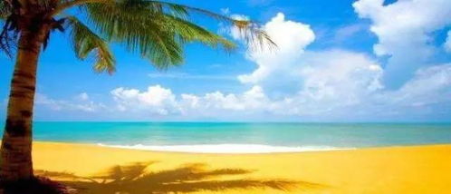 海南海岛：水果的乐园