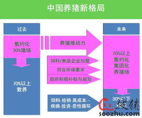 湖南伟业饲料在知名企业名单中表现如何？品质和口碑怎么样？