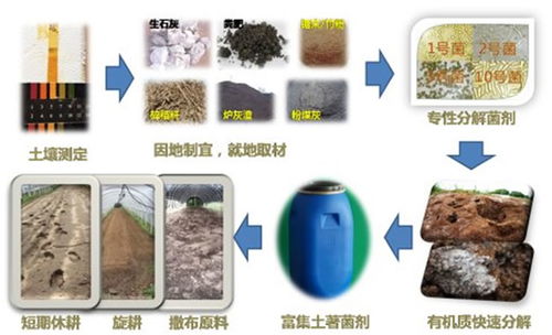 农业创新：微专题水循环技术提升作物产量和可持续性