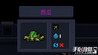 元气骑士西瓜种子的神奇用途