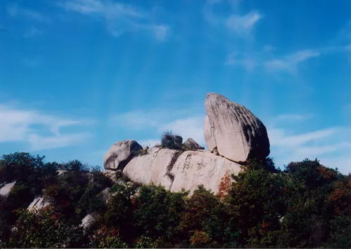 公园， 城市的绿色肺