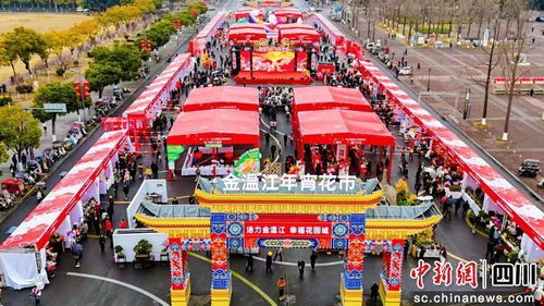 者阝花卉市场览：发展趋势篇