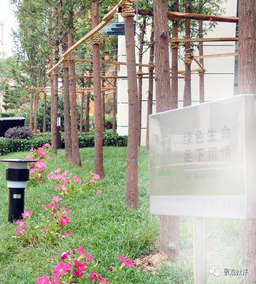 三、 树木和花草，让大地披上绿装