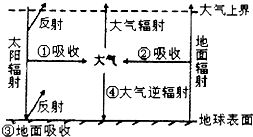 苹果树浇水频率取决于生长阶段和气候