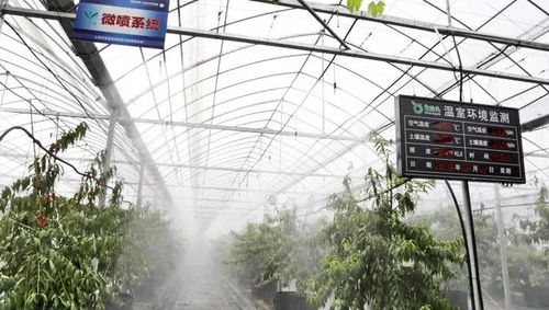 打造高效农业灌溉：简易水池水循环系统制作指南