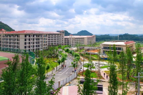 1. 地域文化融合