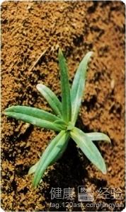 注意事项与经验分享