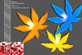 塑料托盘的秘密：新料还是回料