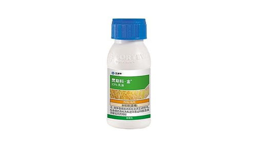 4. 产品推荐：这些产品值得尝试