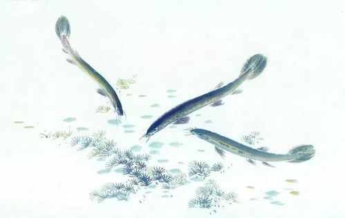 LD50农药对人类健康的影响