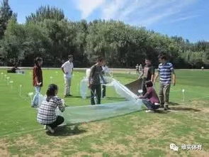 草是真的， 而且养护成本真的挺高