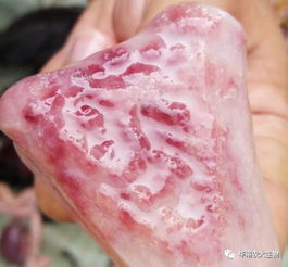 肉鸡霉菌毒素中毒诊疗要点分析