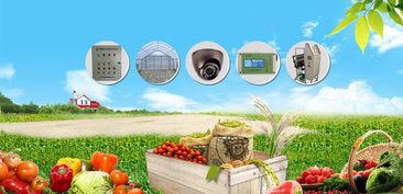 农业农药智Neng化管理：精准施肥与病虫害防治自动化之路