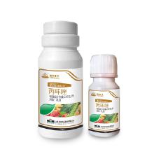 香蕉叶斑病，丙环唑来帮忙