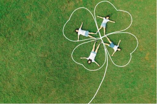 柴胡种植， 三招提高出苗率