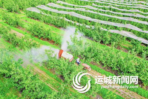 气候是关键,土壤也不能小觑