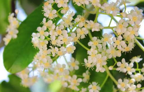 生活琐事， 也是学问