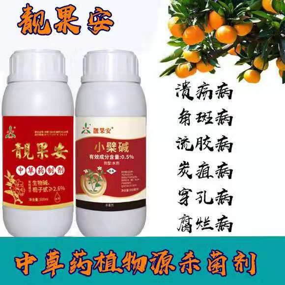 柑橘疫病， 也要防着