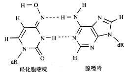药害溯源诊断：关键在于细节