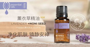 薰衣草精油有什么用？超全使用方法看这里