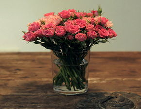 风水讲究：根据风水， 一般不建议家里种玫瑰