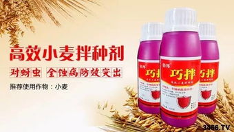 丙硫菌唑新秀， 防治效果显著