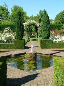 庭院绿化设计实景图观察