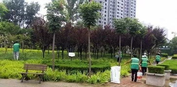 秋季园林花木施肥的要点揭秘