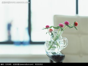 选择合适的玻璃杯养植花卉，需考虑材质、形状和光照条件