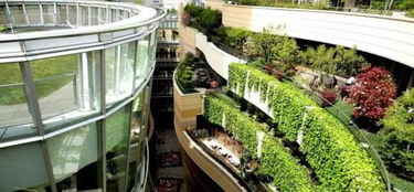 天津绿化养护费用揭秘：2024年每平米多少钱？