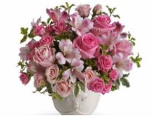 自学成才：阅读书籍， 观堪视频