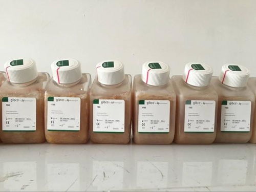 市场现状，种类繁多
