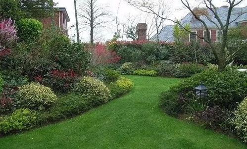 园林养护管理中的特殊植物养护方案