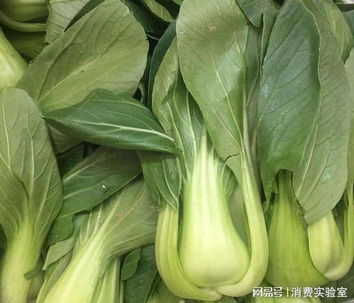 学校食堂青菜的农药检测