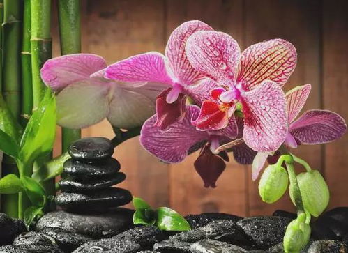 蒸汽消毒， 听起来挺高级的